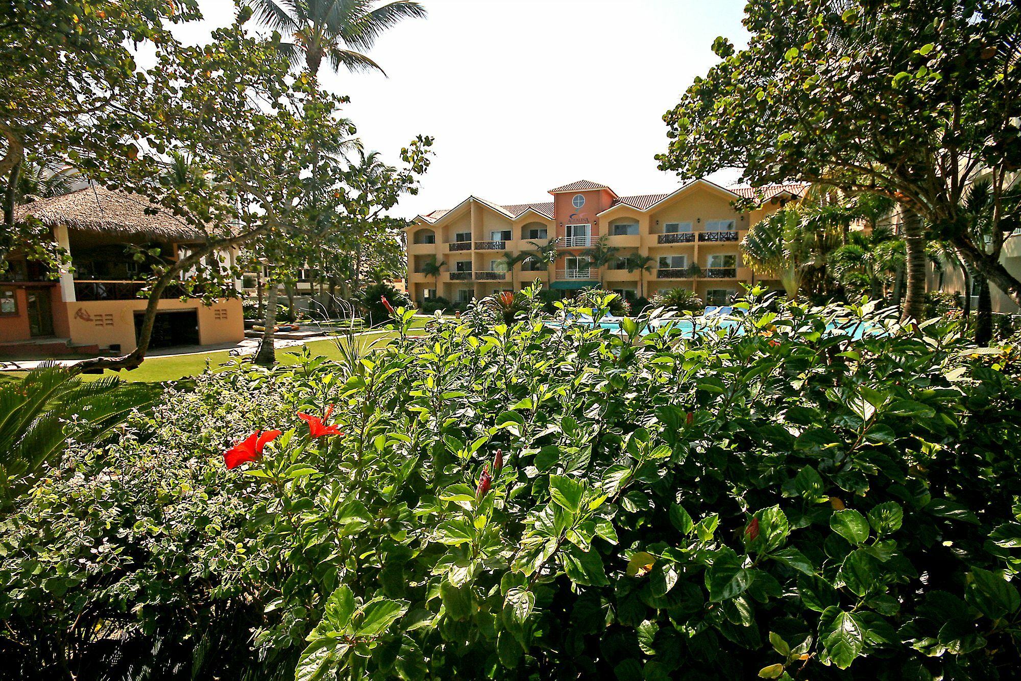 Agualina Kite Resort Cabarete Buitenkant foto
